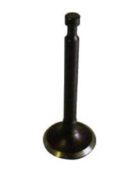 Valve Inlet