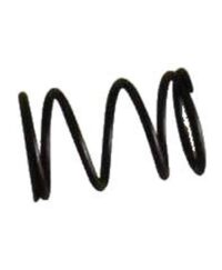 Valve Spring