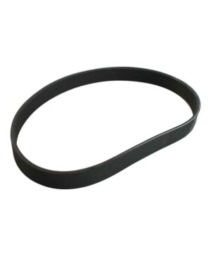 Drive Belt