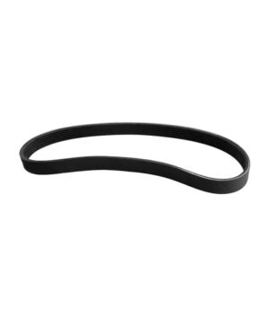 Drive Belt