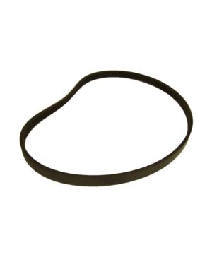 Drive Belt
