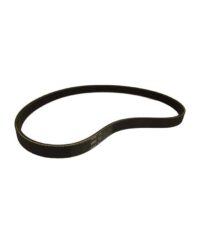 Drive Belt