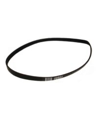 Drive Belt