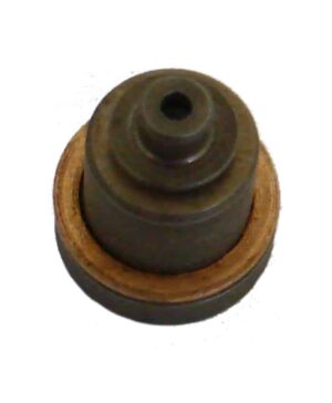 Fuel Pump Delivery Valve