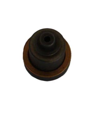 Fuel Pump Delivery Valve