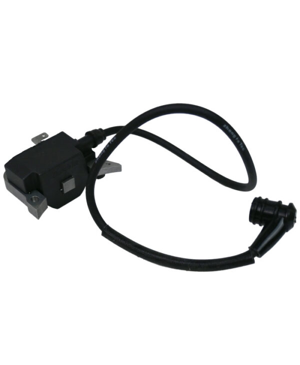 Ignition Assembly