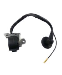 Ignition Assembly
