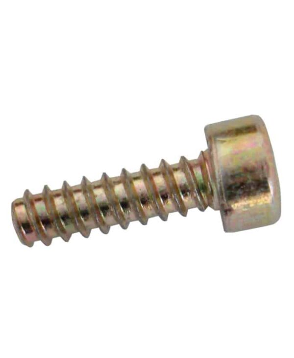 Oil Pump Worm Gear