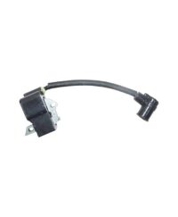 Ignition Assembly