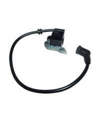 Ignition Assembly