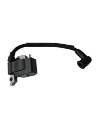 Ignition Assembly