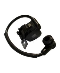 Ignition Assembly