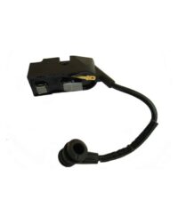 Ignition Assembly