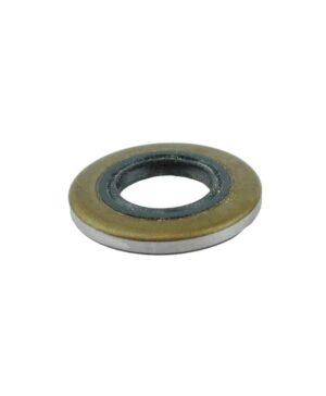 Oil Seal (Clutch Side)