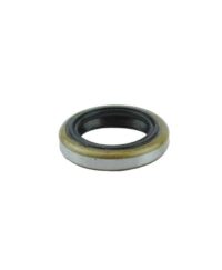 Oil Seal (Flywheel Side)