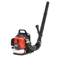 2 Stroke Backpack Blower