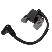 Ignition Assembly ( Right Hand )