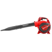 2 Stroke Blower / Vac