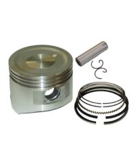 Piston Assembly