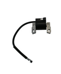 Ignition Assembly