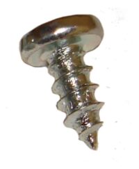 Screw