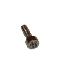 Screw