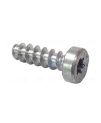 Screw