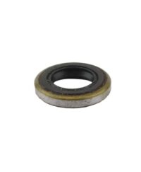Oil Seal (Crankshaft)