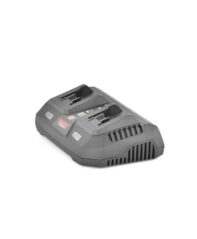 Dual Charger 20 Volt