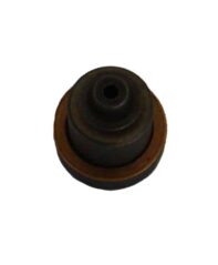 Fuel Pump Delivery Valve